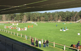 Fontainebleau Grand Parquet en gazon fibré