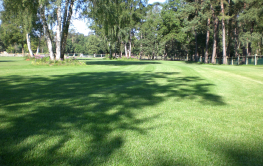 Fontainebleau Petit Parquet en gazon fibré